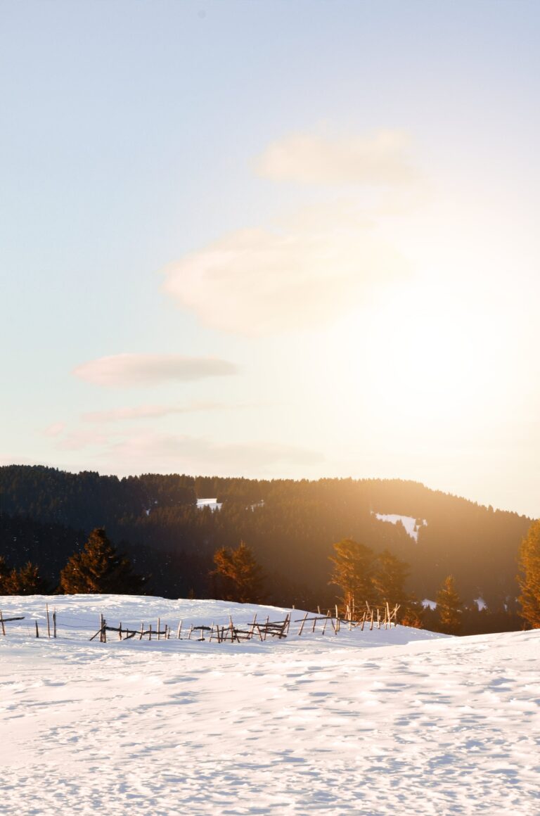 Vinterlandskap med stängsel och skog i bakgrunden